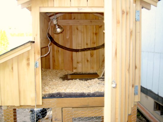 Susan from Camas, Washington Shares Her Chicken Coop Photos