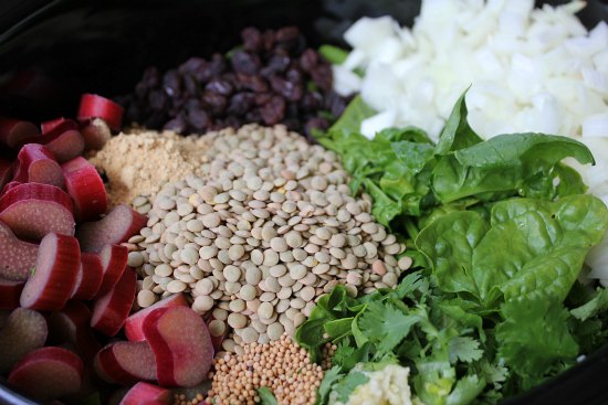 Slow Cooker Vegetarian Indian-Spiced Lentils with Spinach and Rhubarb