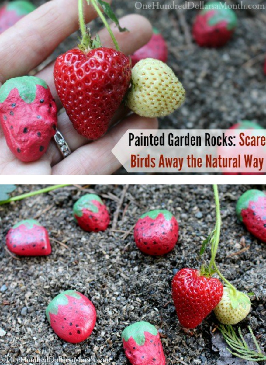 Painted Garden Rocks: Scare Birds Away the Natural Way